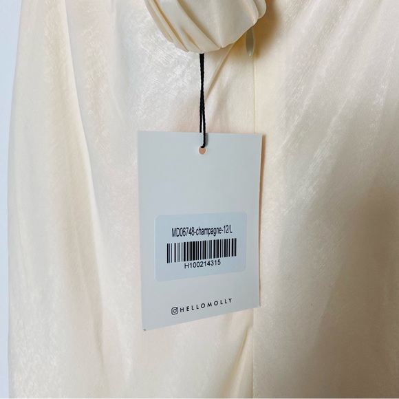 NWT Hello Molly Champagne Backless Maxi Dress US6 - Picture 11 of 14